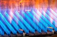 Walcot Green gas fired boilers